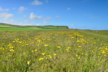 printemps dur la c&ocirc;te
