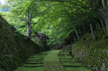 湖東三山 - 百済寺の参道 -