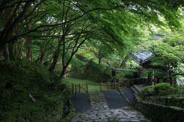 湖東三山 - 百済寺の参道 -