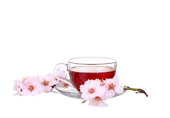 Cup of tea with a sprig of cherry blossoms isolated on white 