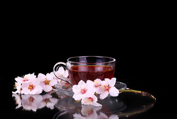 cup of tea and cherry branch 