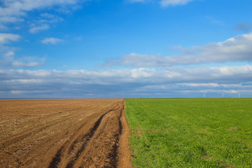 Fototapeta na wymiar Green grass on edge of ploughed field