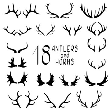 Set of 18 deer antlers and horns