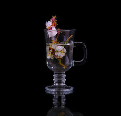 Flowering branch of cherry in a mug of water on a black background
