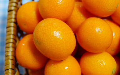 fresh japanese Fortunella