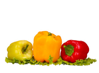 fresh water splash on red sweet pepper  on white background