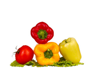 fresh water splash on red sweet pepper  on white background