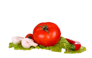 vegetables isolated on white mushrooms, tomatoes, peppers