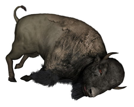 Bison dead - 3D  render