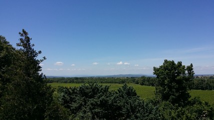 Vue sur les vignes