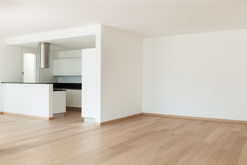 Fototapeta na wymiar Interiors, modern kitchen
