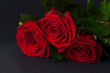 Three red roses on a black background