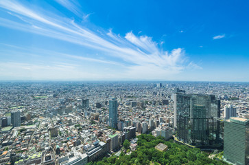 Fototapeta premium 都庁展望室から望む東京の街並み