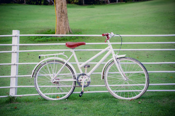 Fototapeta premium old bicycle
