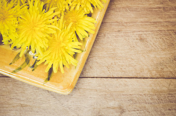 yellow dandelions blossoms on a wood background