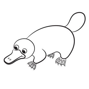 Cartoon illustration of platypus or duckbill animal