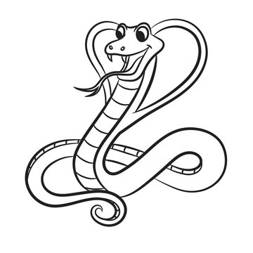 Illustration of cobra snake on a white background. Vector