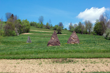 agricultural landscape