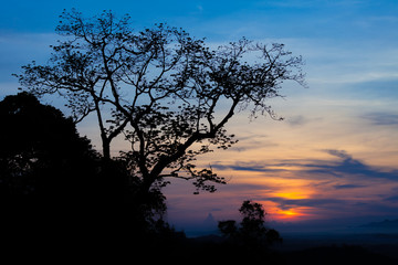 landscape view and silhouette of tree, Thailand