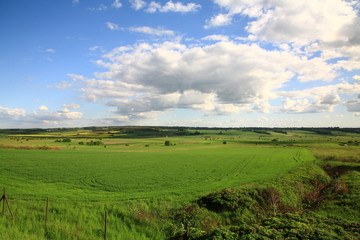 Fototapeta na wymiar Lithuanian landscape