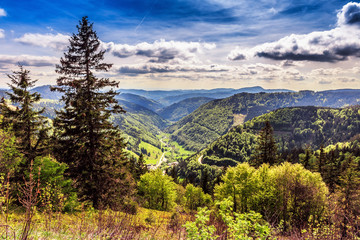 Feldberg Mountain in Spring