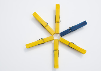 la stella di pinzette