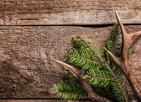 Fototapeta Evergreen Branch and Deer Antler on Wooden Surface
