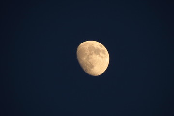 yellow full moon