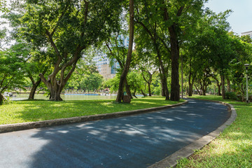 sunlight on the way in green tree park, Bangkok Thailand