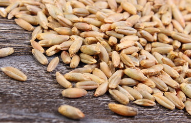 Heap of rye grain on wooden background