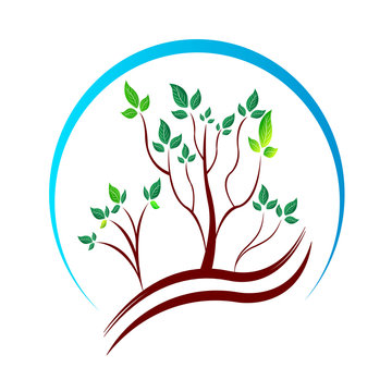 Tree logo design isolated on white background.