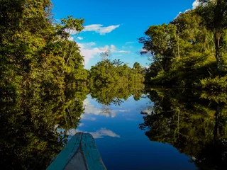 Crédence de cuisine en verre imprimé Rivière Amazon river
