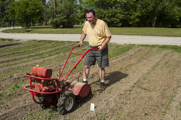 Organic Farmer Cultivating Between Rows In A Hot Sun