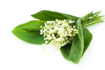 Obraz premium Lily of the Valley with leaves isolated on white