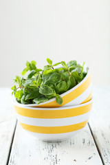 Fresh mint in bowl on white wooden background