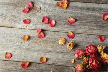 Fototapeta na wymiar Dried roses on grey wooden background