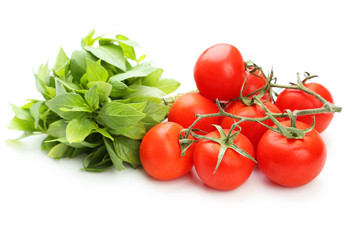Tomatoes and basil leaves isolated on white