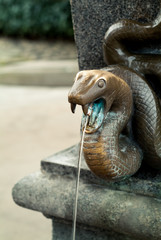 Snake spring