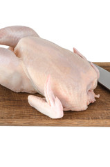 Raw chicken carcass on cutting board isolated on white