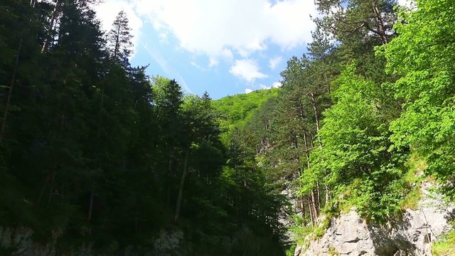 Tal mit Gebirgsfluss
