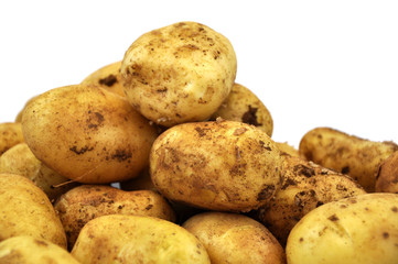 Potatos