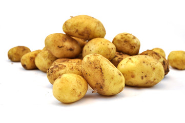 Potato