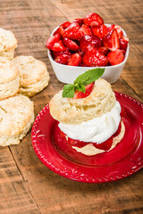 Strawberries and biscuits on plate vertical