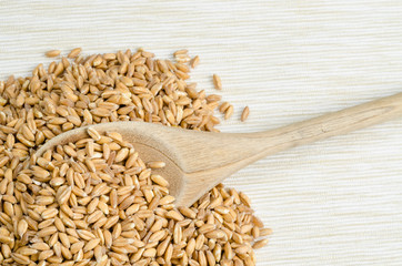spelt with spoon on table cloth, close up, background