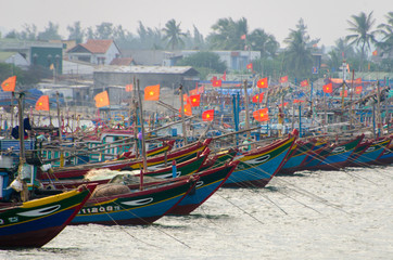 Fototapeta na wymiar Vietnamese fleet