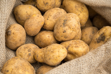 Potatoes in Sack