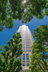 東京　西新宿　高層ビルと新緑