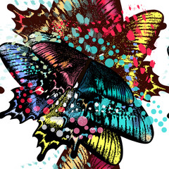 Fashion butterflies vector pattern in bright color