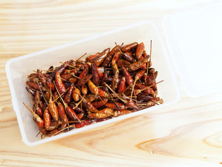 Deep fried dry chilli in plastic container