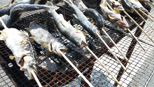 Pfählung Bilder Durchsuchen 3,902 Archivfotos, und